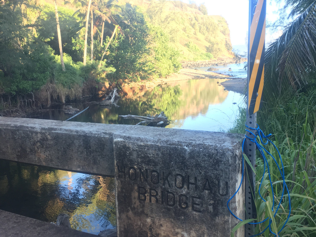 West Maui Cycles景点图片