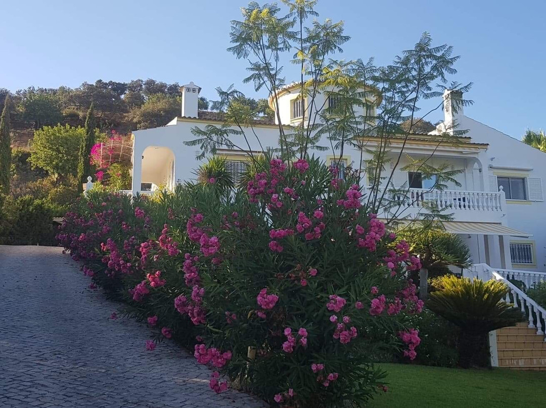 Vale da Galega主图