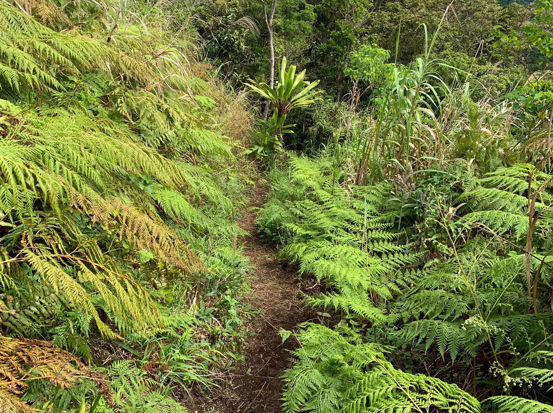 Exotic Holidays Fiji-劳托卡必去景点