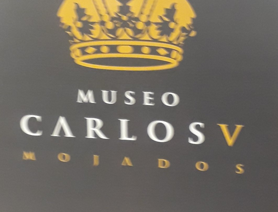 Museo Carlos V景点图片