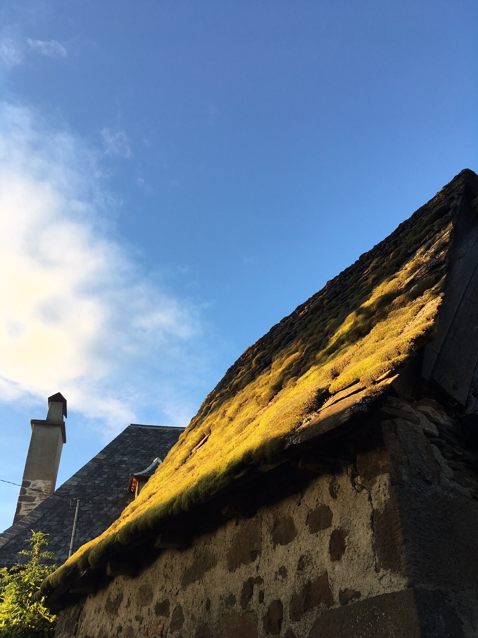 Auberge de la Sapinière-官方