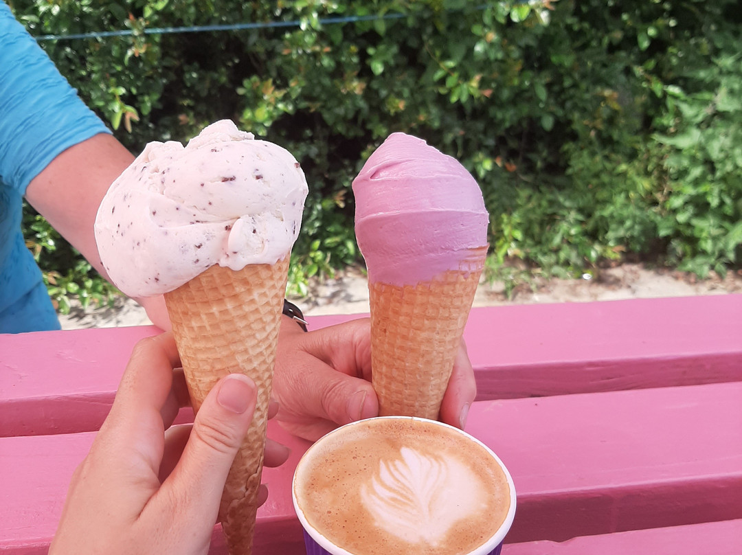 Our Cow Molly Dairy Farm & Ice Cream Shop-谢菲尔德必去景点