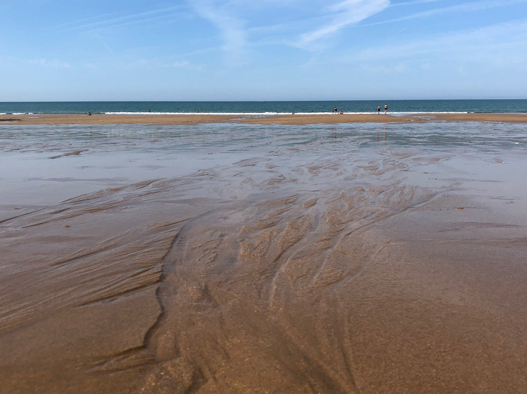 Plage des Conches景点图片