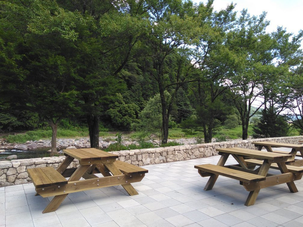 Seiryu Nagara River Ayu Park-郡上市必去景点