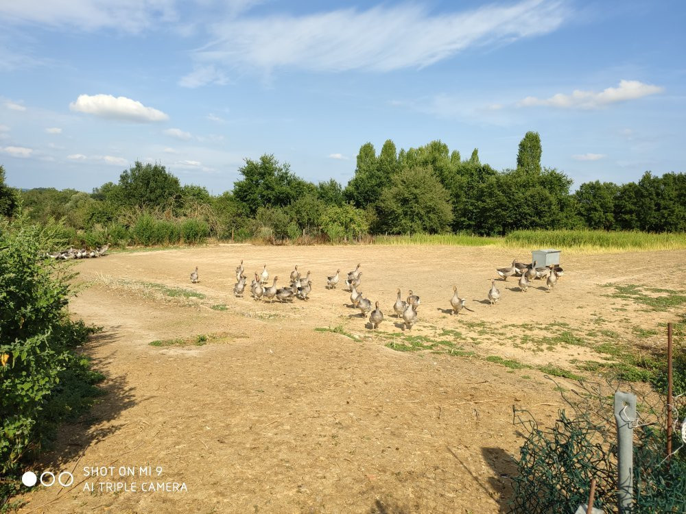 La Ferme de Michaumaille景点图片