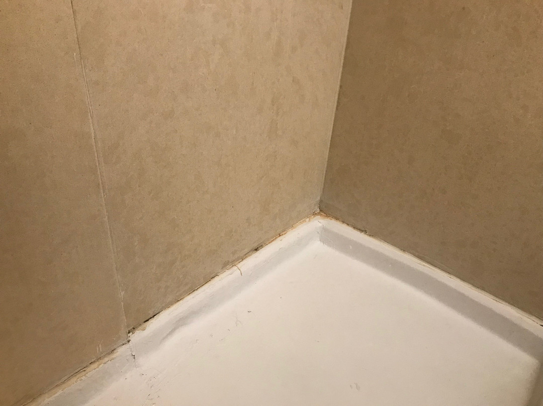 Staybridge Suites Tampa East - Brandon by IHG主图