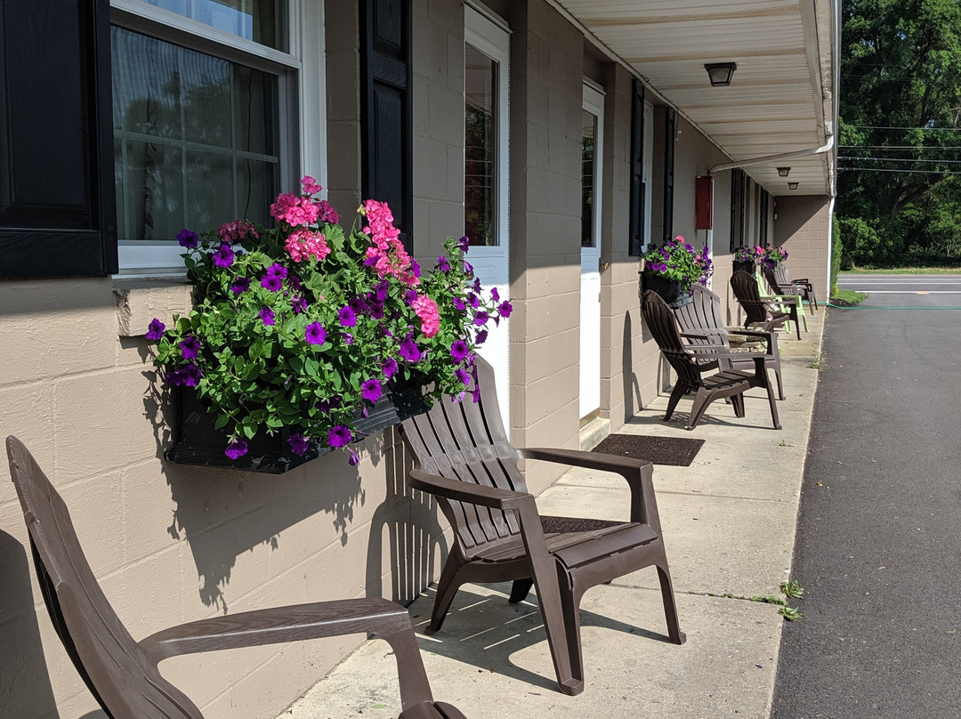 The Clarence Inn主图