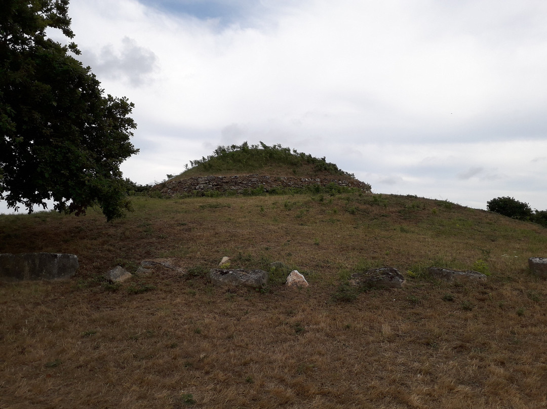 Tumulus de Dissignac景点图片