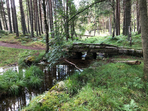 Crannach House主图