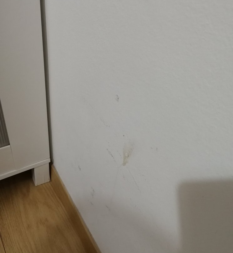 B&B Casa Patavina主图