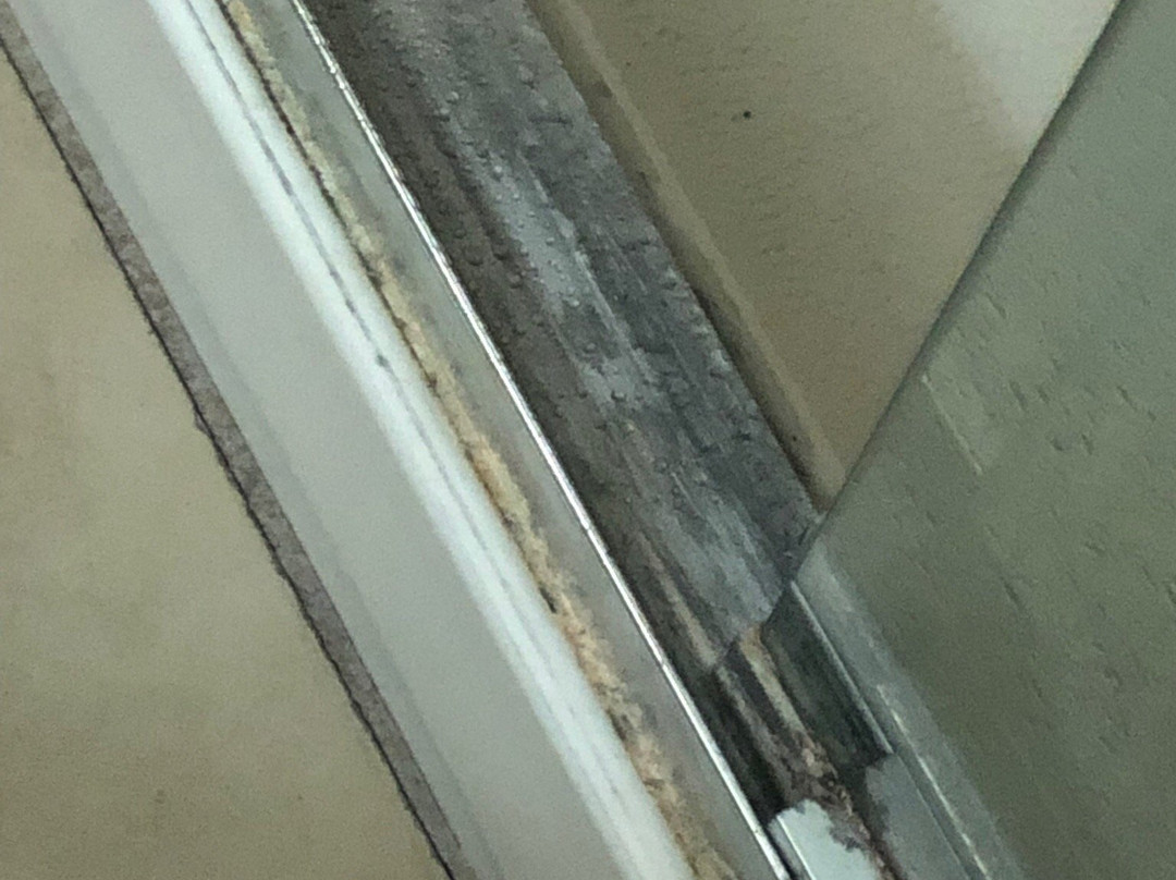 Holiday Inn Killeen - Fort Hood Area by IHG主图