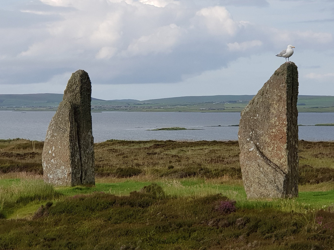 Orkney Tailor-Made Tours景点图片