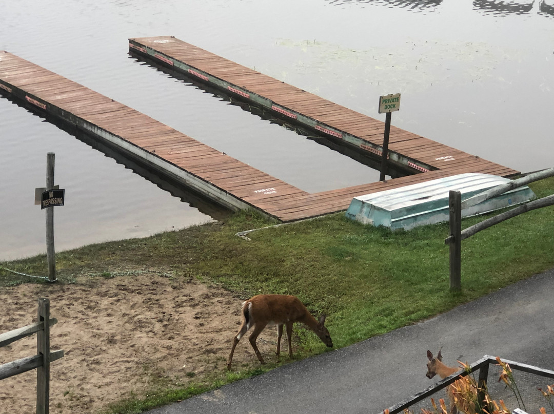 Pine Knoll Lodge and Cabins主图