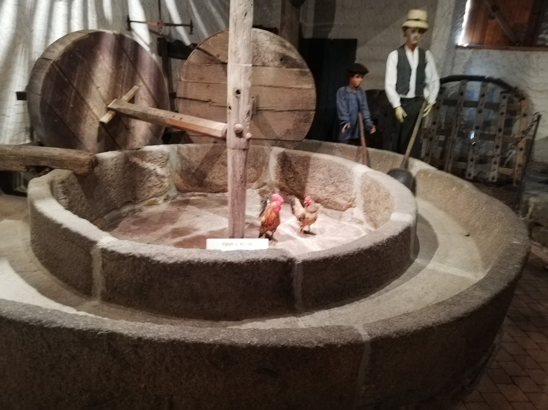 Ferme de l'Hermitiere景点图片