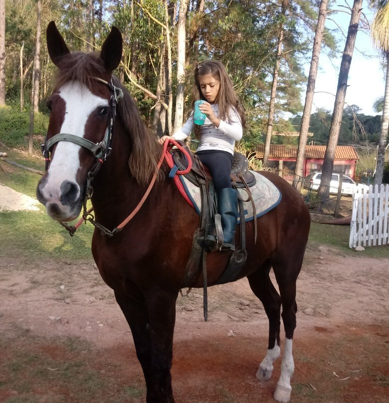 Haras Terra Nova Jundiaí-容迪亚伊必去景点