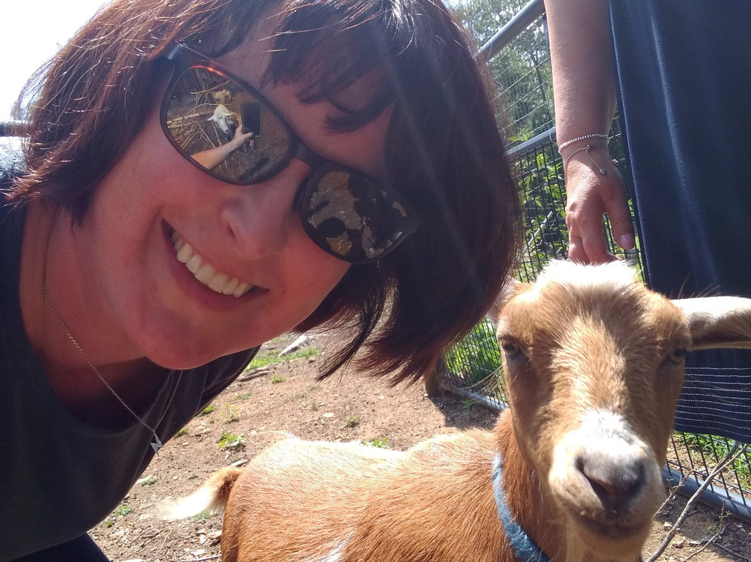 Laurel Ridge B & B主图