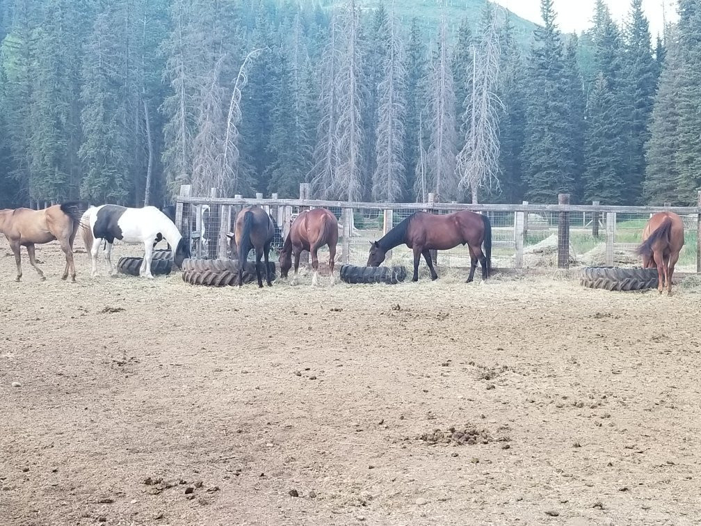 Circle K Ranch-多洛雷斯必去景点