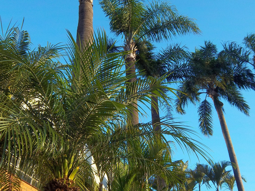 Canoas Parque Hotel主图