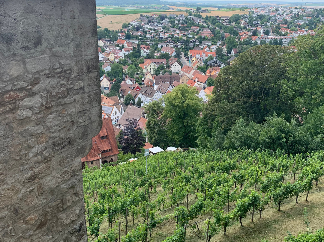 Burg Hohenbeilstein景点图片