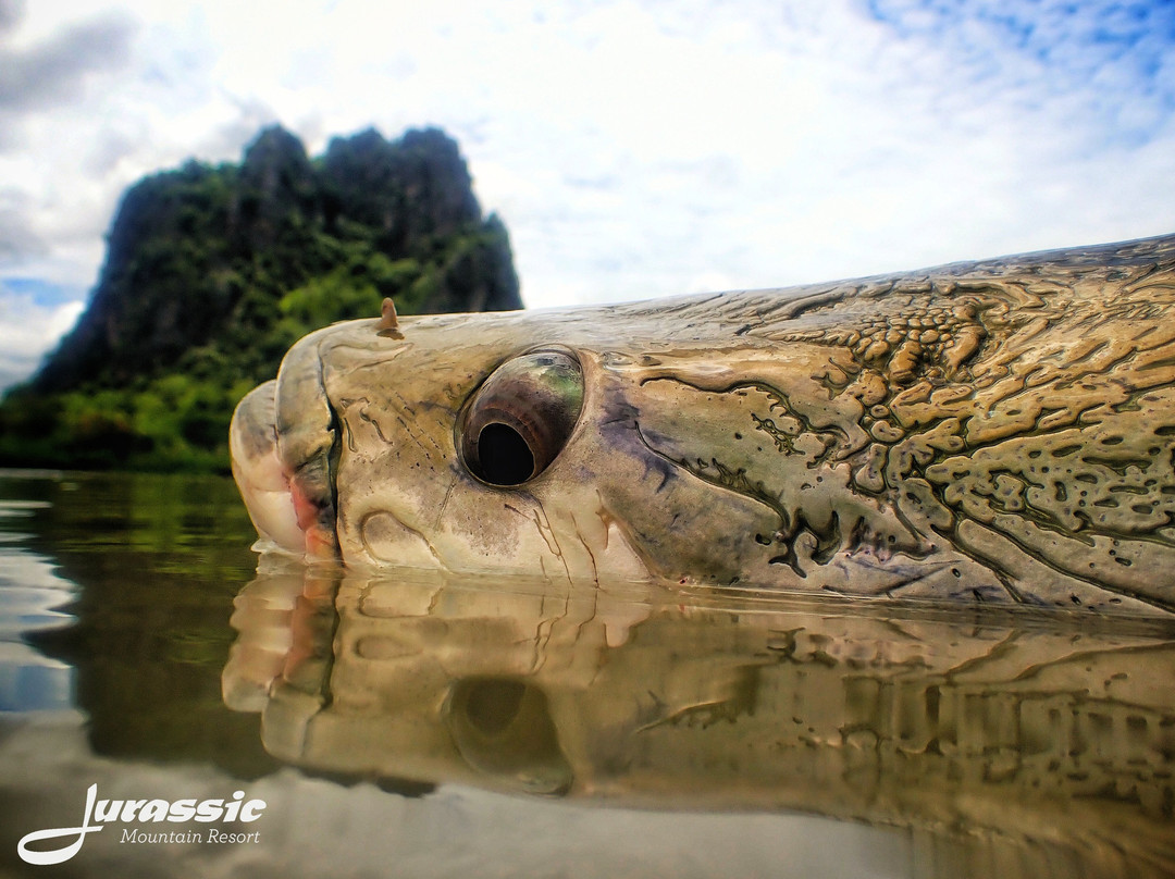 Jurassic  Fishing Park景点图片