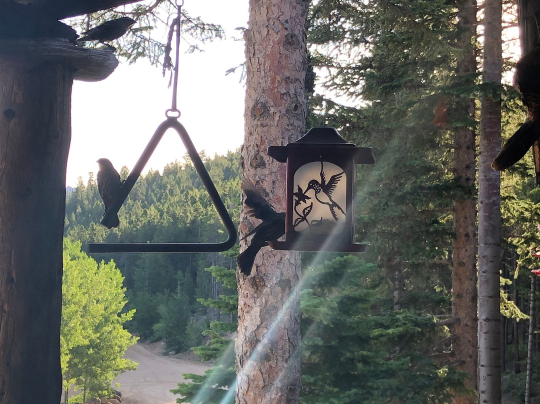 Seven Keys Lodge主图