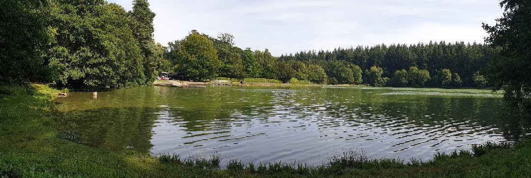 Shearwater Lake景点图片
