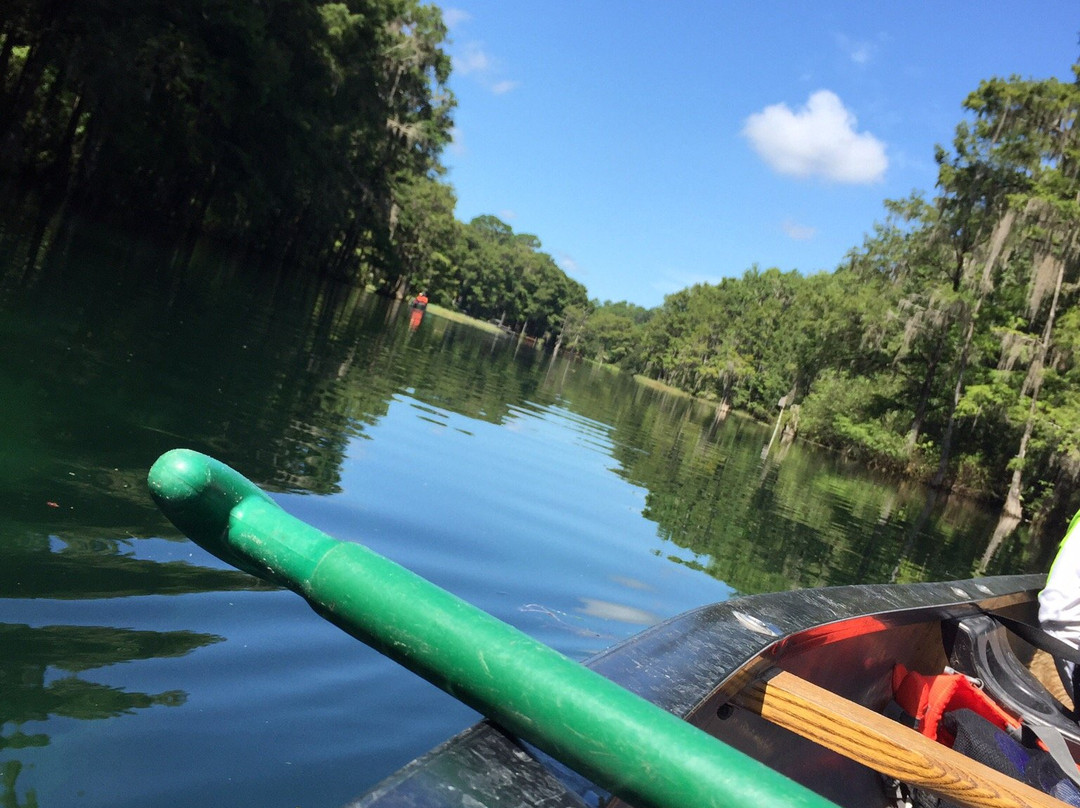 The Gator Den Motel主图