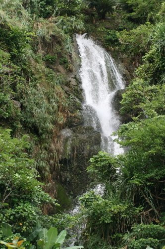 Oyakawa Falls景点图片