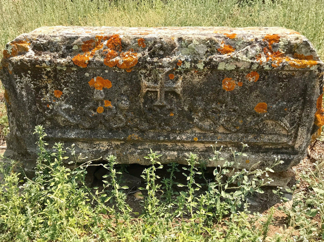 Castelo de Montalvao景点图片