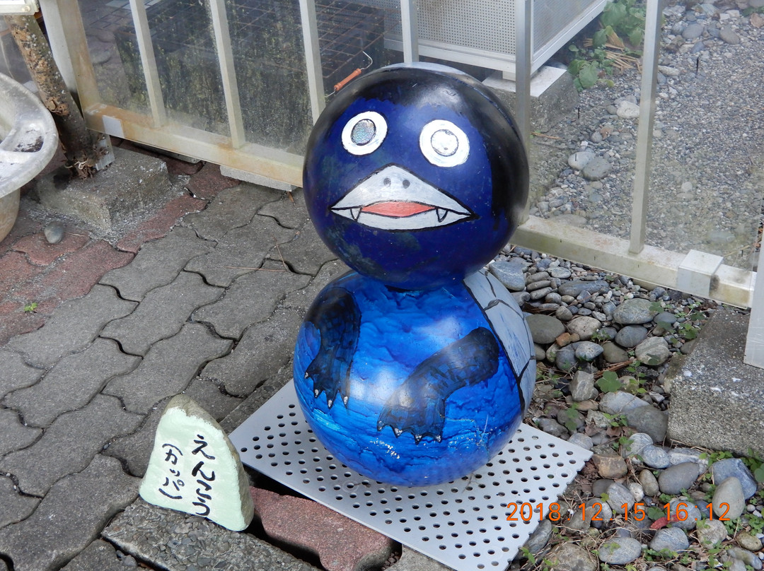Katurahama Aquarium-高知市必去景点