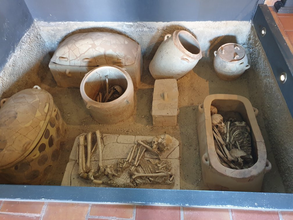 Archaeological Museum of Archanes景点图片