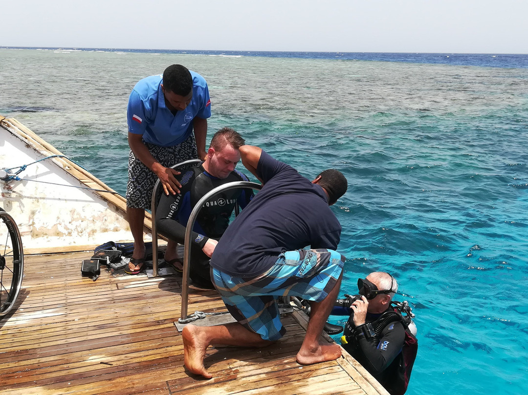 Dive-Top diving center-Safaga必去景点