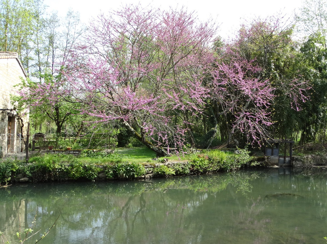 Moulin de la Papeterie Thérèse Doan主图