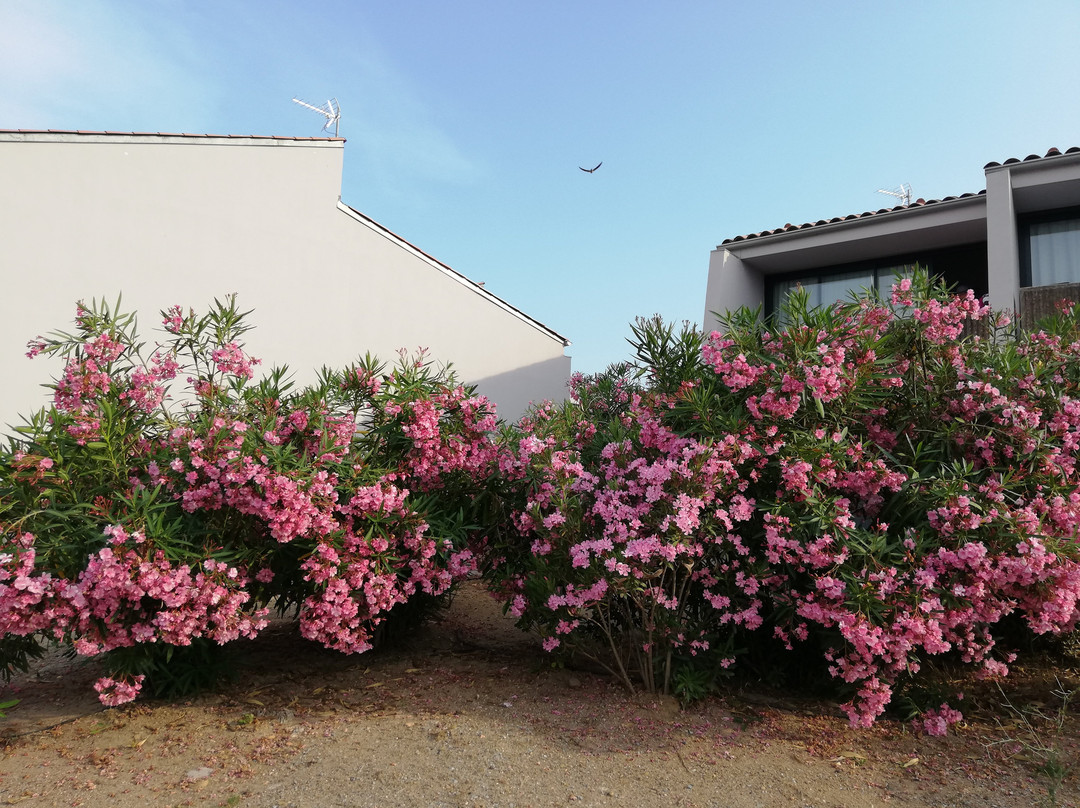 Village Club Miléade Les Issambres La Gaillarde主图