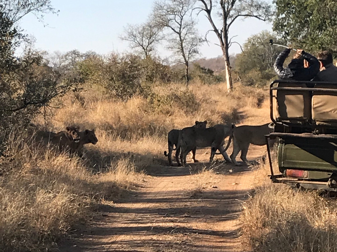 Toro River at Toro River Lodges-霍德斯普鲁特必去景点