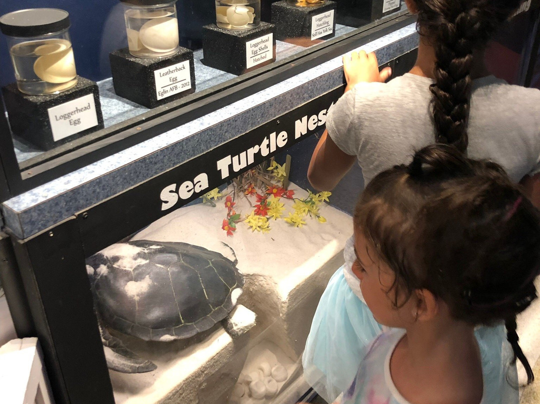 Navarre Beach Marine Sanctuary景点图片