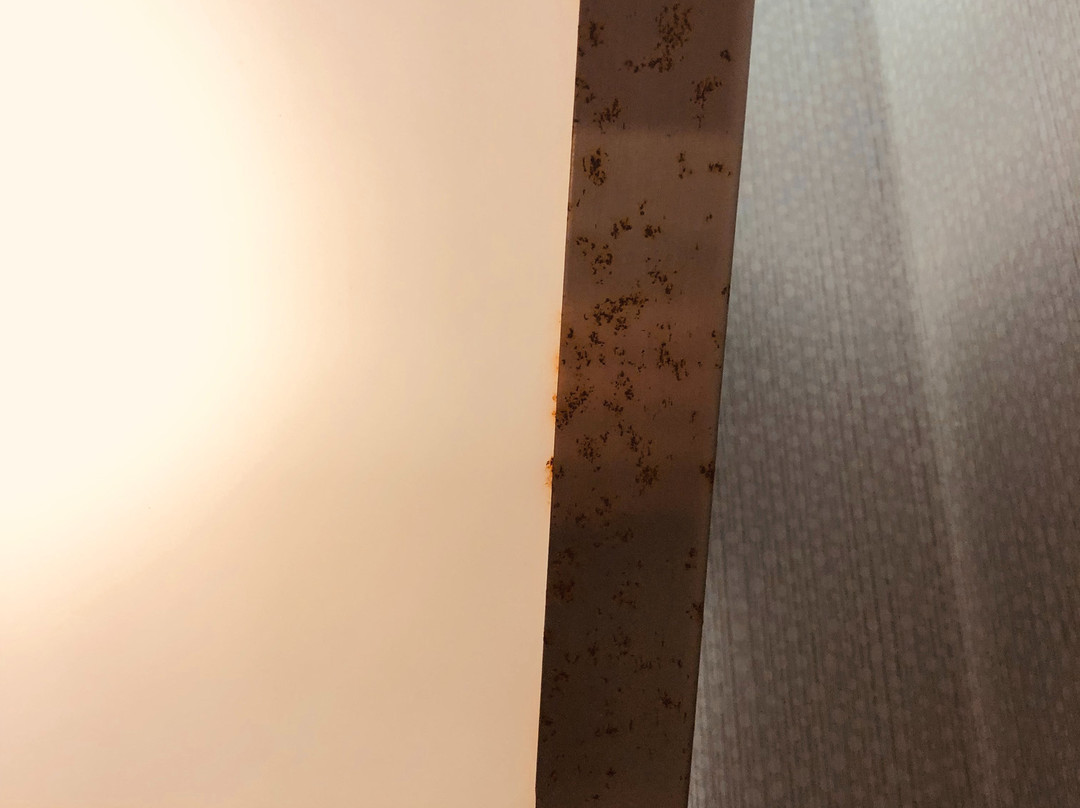 Hyatt Place Milwaukee West主图