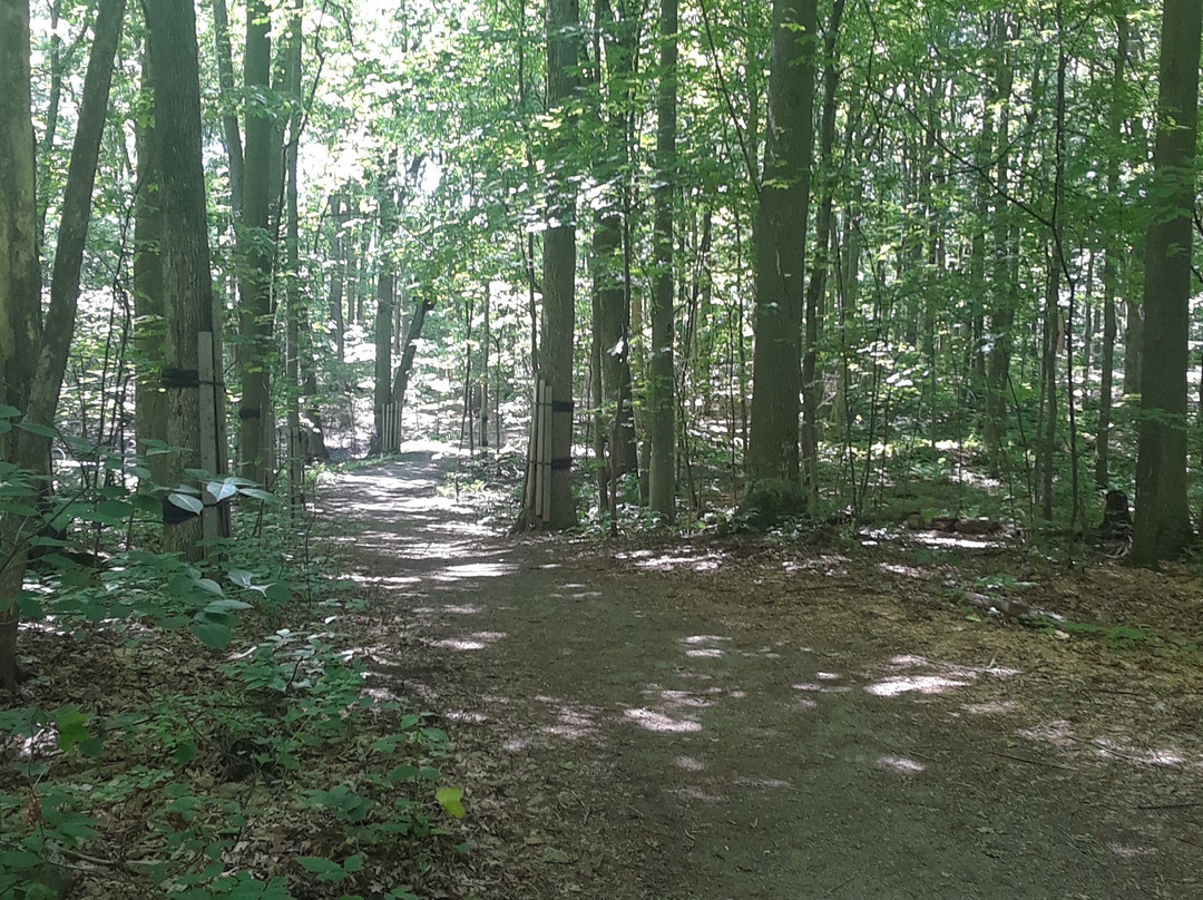 Parc-Nature-du-Bois-de-l'île-Bizard-蒙特利尔必去景点