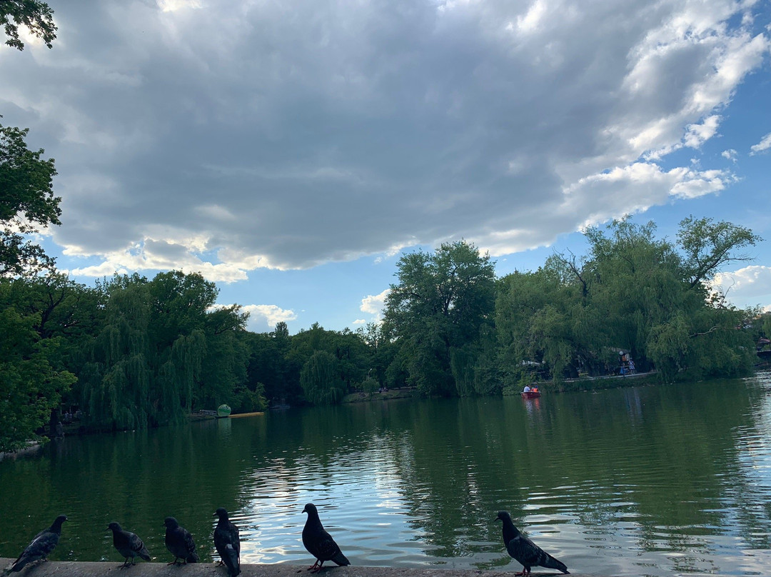 Lukomorye City Park-萨拉托夫必去景点