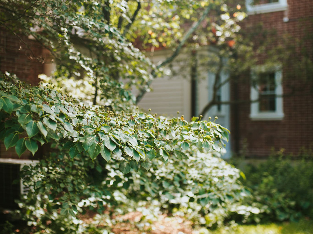 Audubon Naturalist Society Woodend Sanctuary-Chevy Chase必去景点