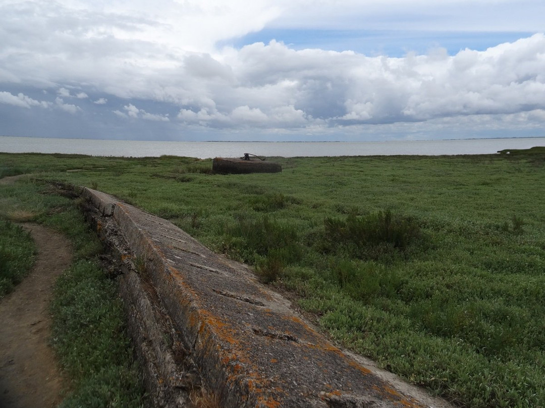 Réserve naturelle nationale de la Baie de l’Aiguillon景点图片