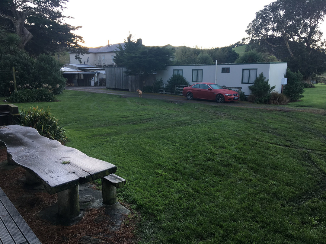 Castlepoint Hotel & Guesthouse - The Whakataki主图