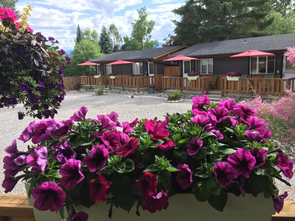 The Piccadilly主图