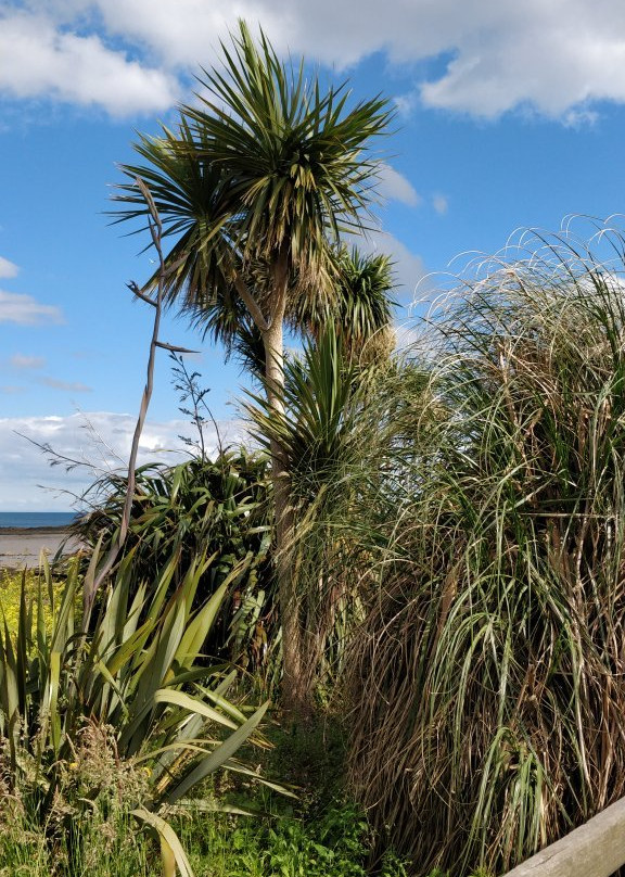 Ballywalter Beach景点图片