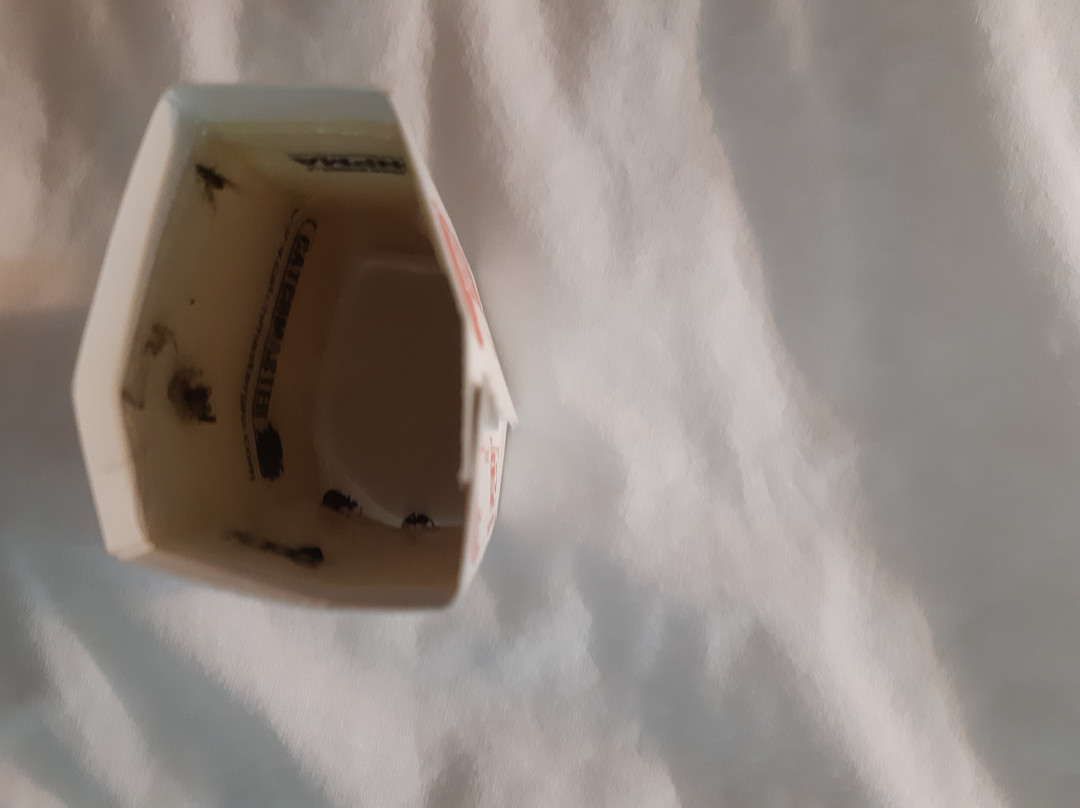 Super 8 by Wyndham Kamloops BC主图