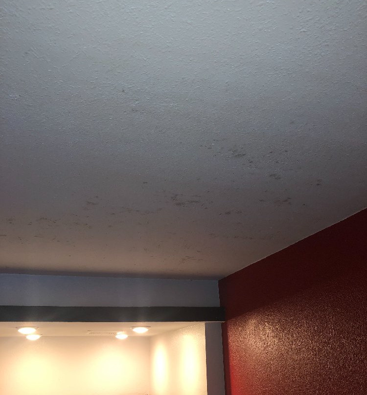 Clarion Inn & Suites Russellville I-40主图