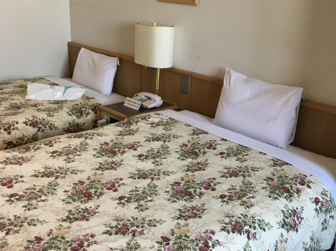 Kitakata Green Hotel主图