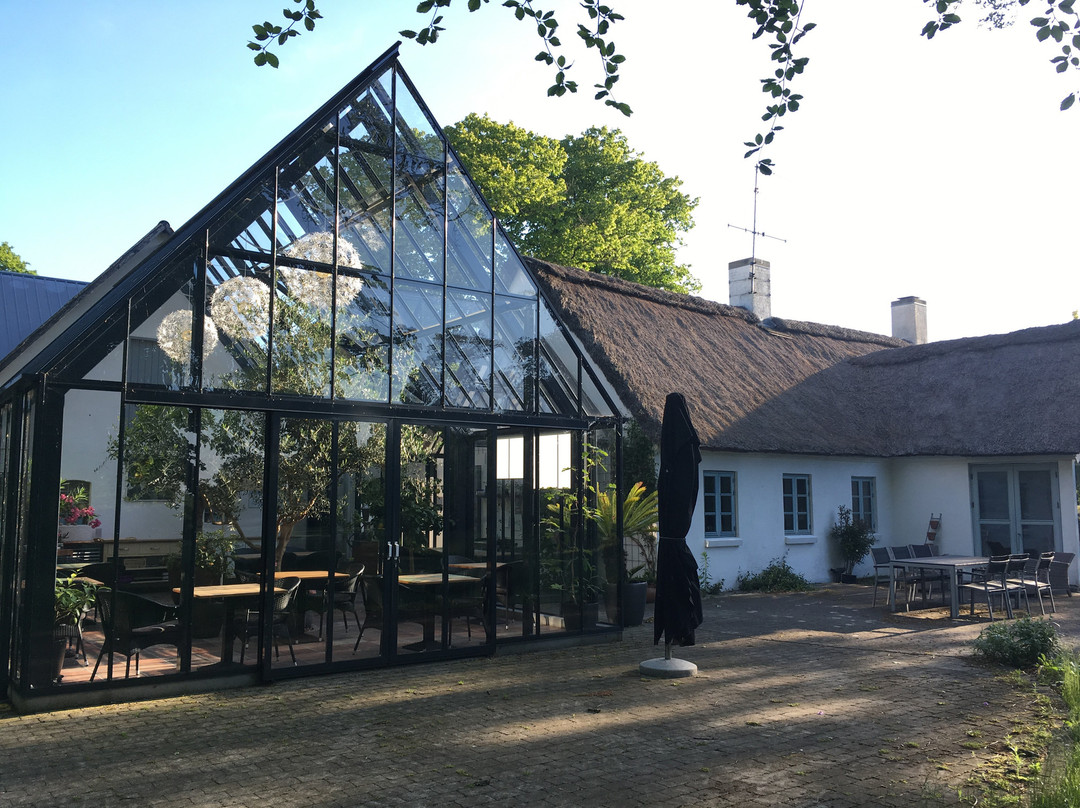 Ostergaard Kultur Bed & Breakfast主图