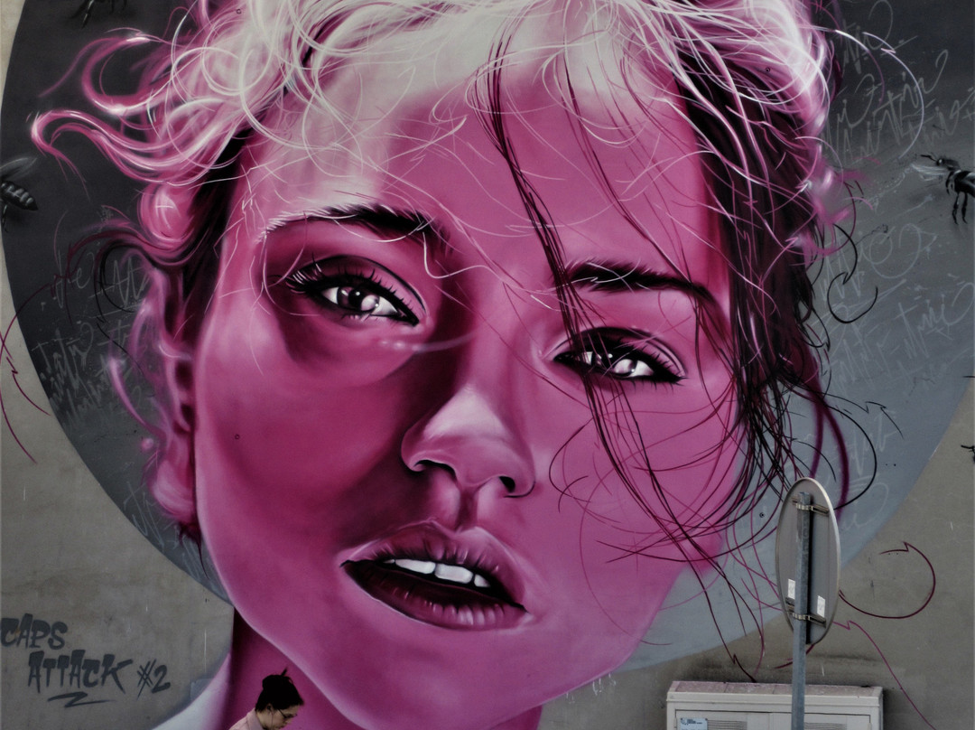 Fresque "Belle femme"景点图片