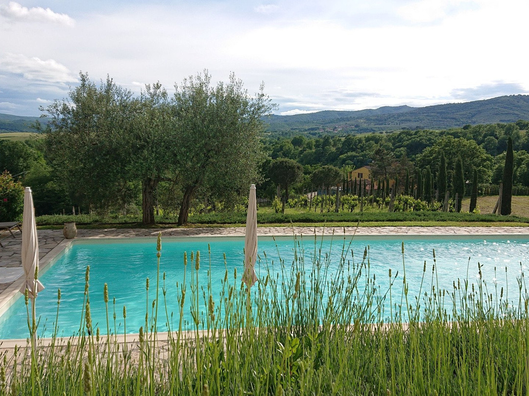 Country House Villa Rey主图